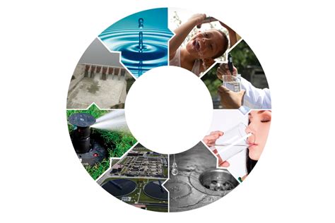 Servicios públicos, pavimentación, agua y drenaje: Acciones que .